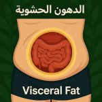الدهون الحشوية