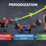 Infographic showing periodization stages in powerlifting.